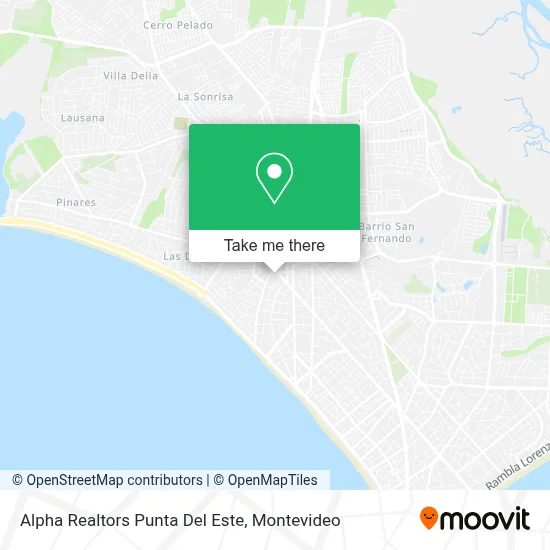 Alpha Realtors Punta Del Este map