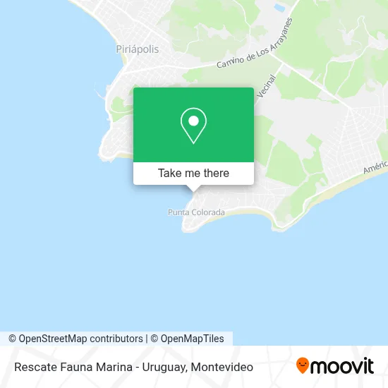 Rescate Fauna Marina - Uruguay map