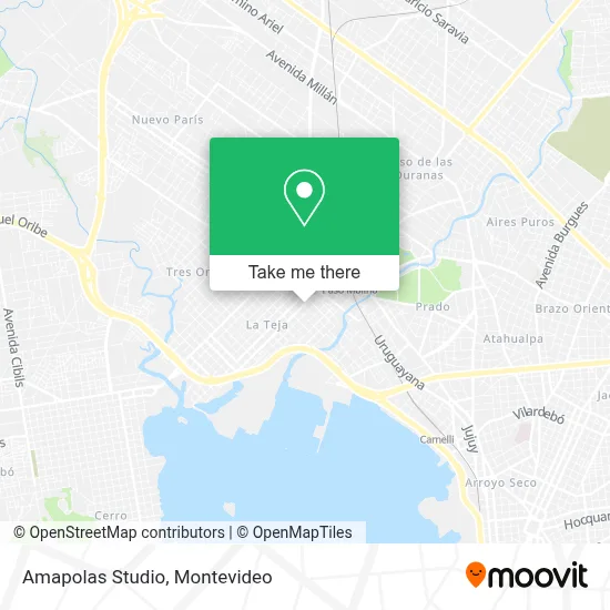 Amapolas Studio map
