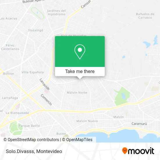 Solo.Divasss map