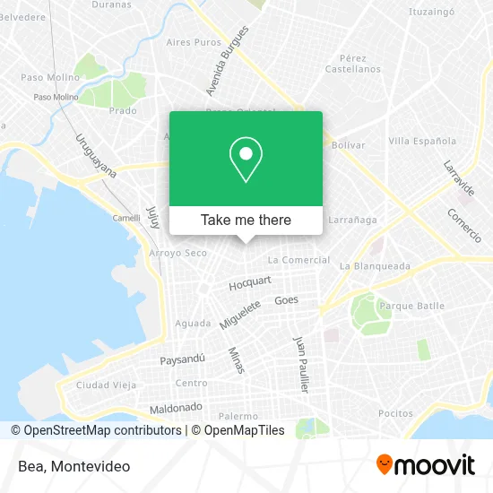 Bea map
