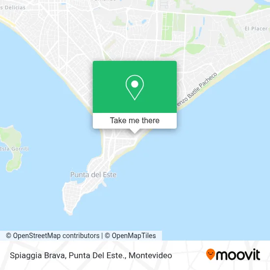 Spiaggia Brava, Punta Del Este. map