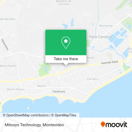 Mitosys Technology map