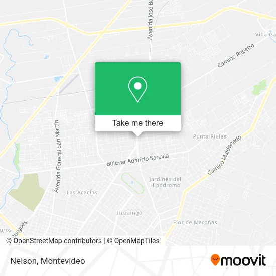 Nelson map