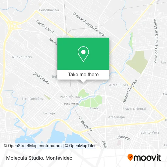 Molecula Studio map