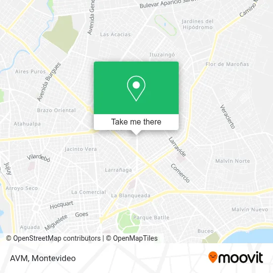 Avm map