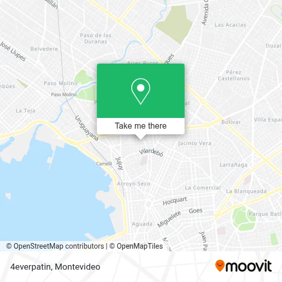 4everpatin map