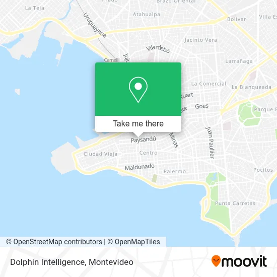 Dolphin Intelligence map