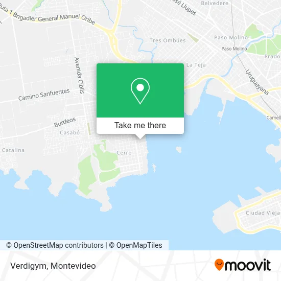 Verdigym map