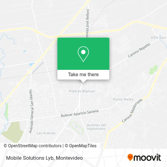 Mobile Solutions Lyb map