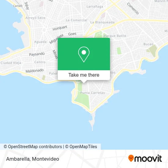 Ambarella map