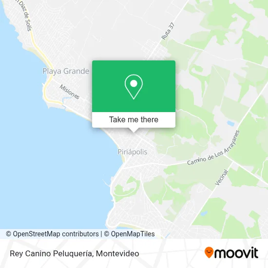 Rey Canino Peluquería map