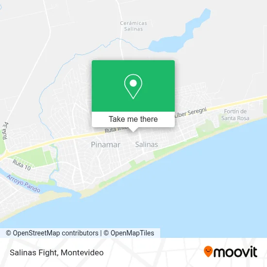 Salinas Fight map
