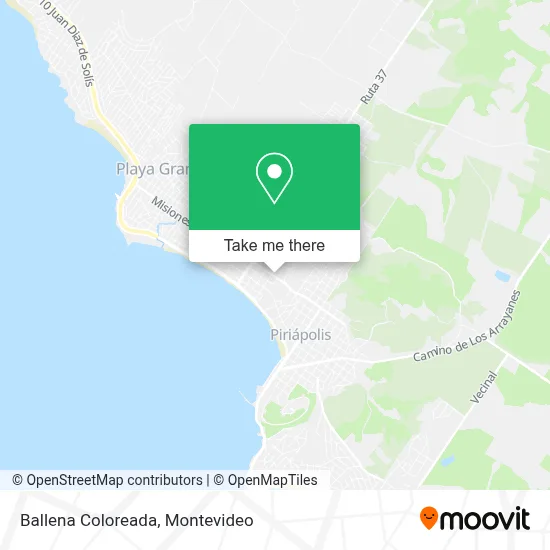 Ballena Coloreada map
