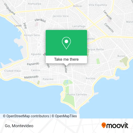Go map