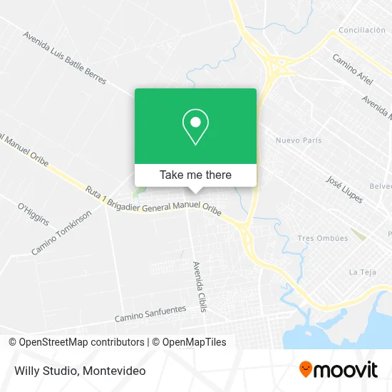 Willy Studio map