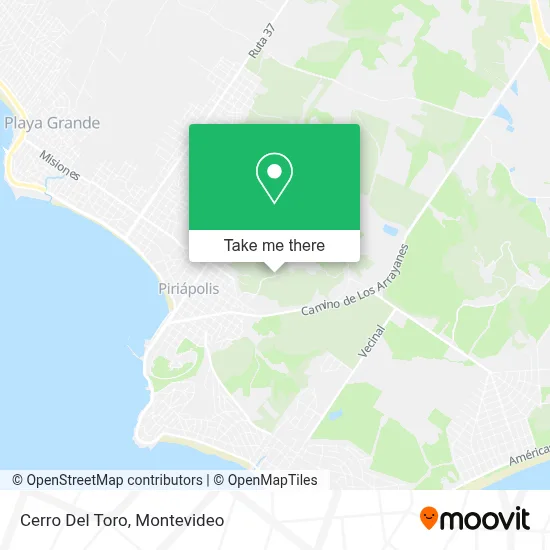 Cerro Del Toro map