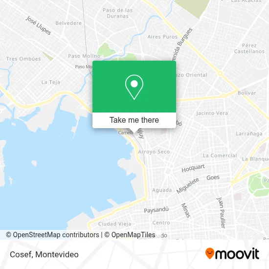 Cosef map