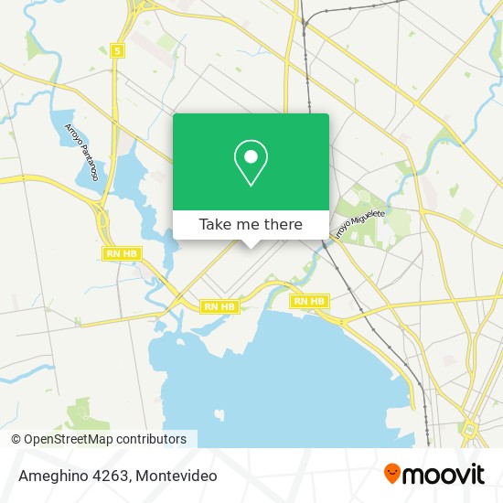 Ameghino 4263 map
