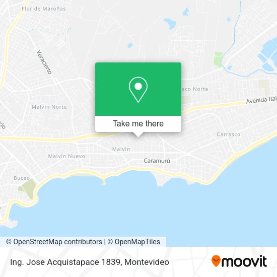 Ing. Jose Acquistapace 1839 map