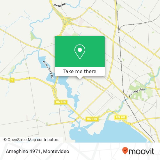 Ameghino 4971 map