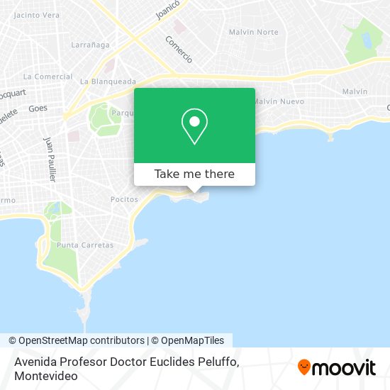 Avenida Profesor Doctor Euclides Peluffo map