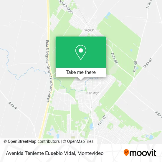 Avenida Teniente Eusebio Vidal map