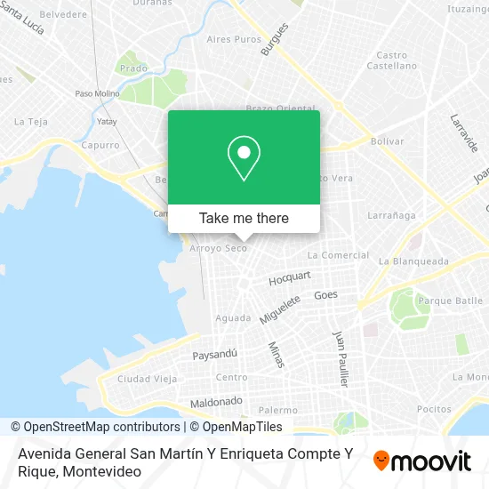 Avenida General San Martín Y Enriqueta Compte Y Rique map