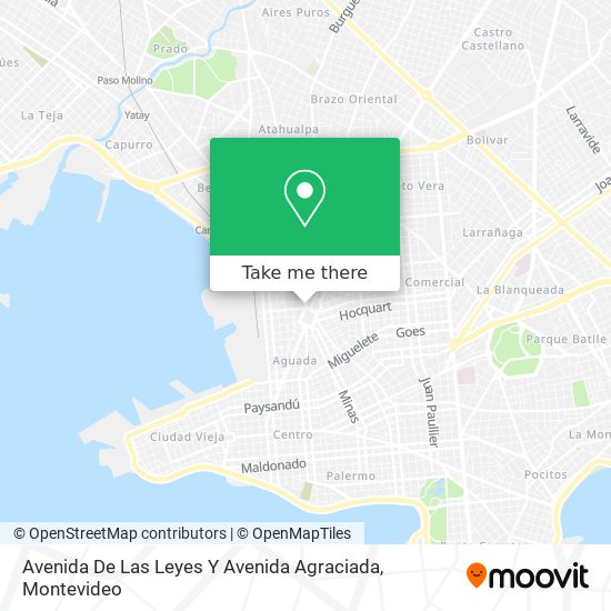 Avenida De Las Leyes Y Avenida Agraciada map