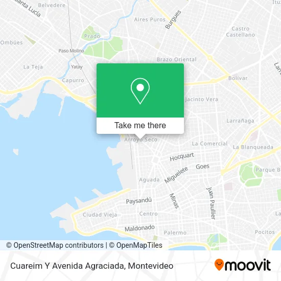 Mapa de Cuareim Y Avenida Agraciada