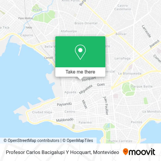 Mapa de Profesor Carlos Bacigalupi Y Hocquart