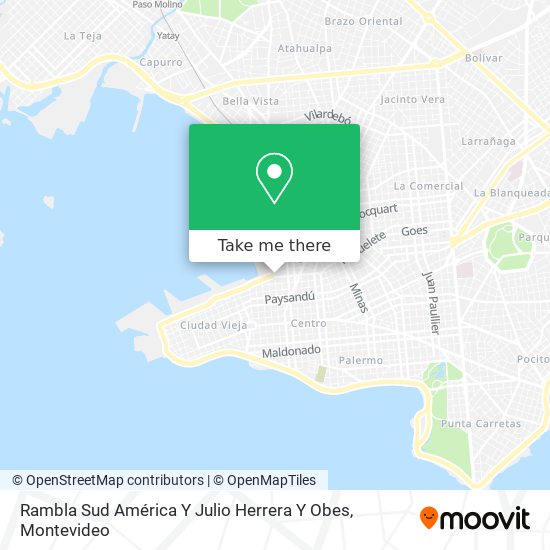 Rambla Sud América Y Julio Herrera Y Obes map