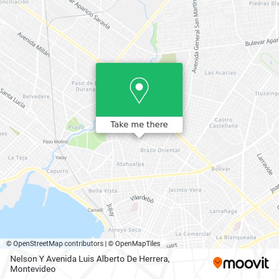 Nelson Y Avenida Luis Alberto De Herrera map