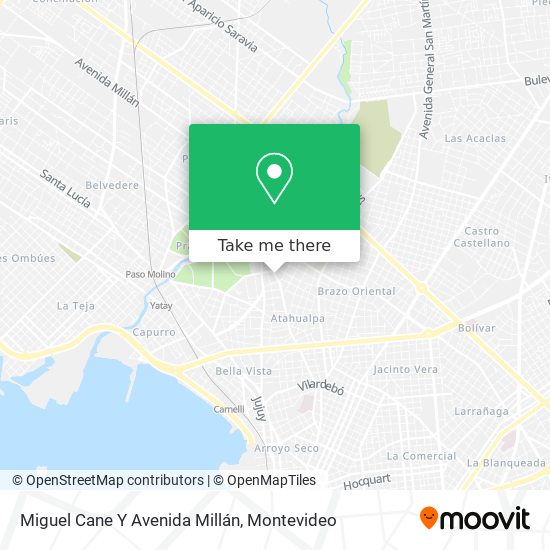 Miguel Cane Y Avenida Millán map