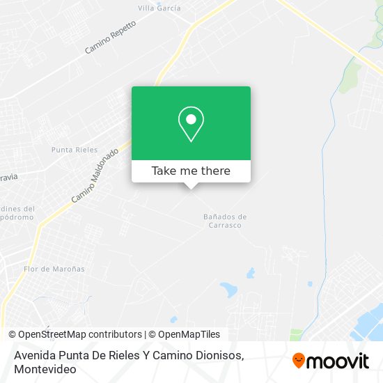 Avenida Punta De Rieles Y Camino Dionisos map