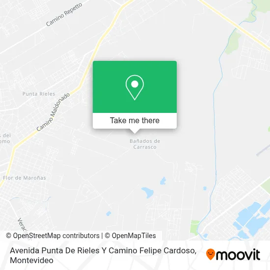 Mapa de Avenida Punta De Rieles Y Camino Felipe Cardoso