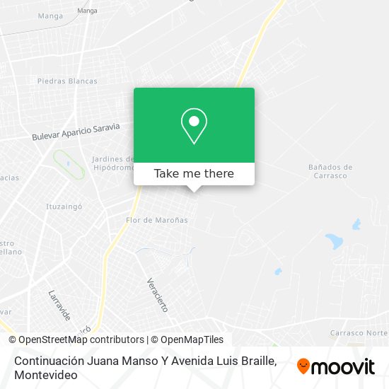 Continuación Juana Manso Y Avenida Luis Braille map