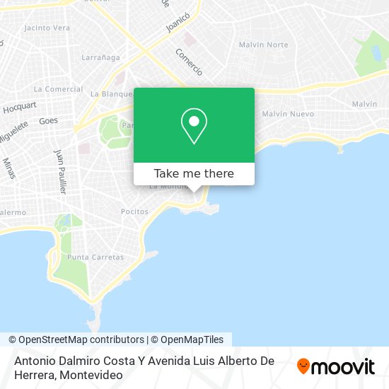 Antonio Dalmiro Costa Y Avenida Luis Alberto De Herrera map