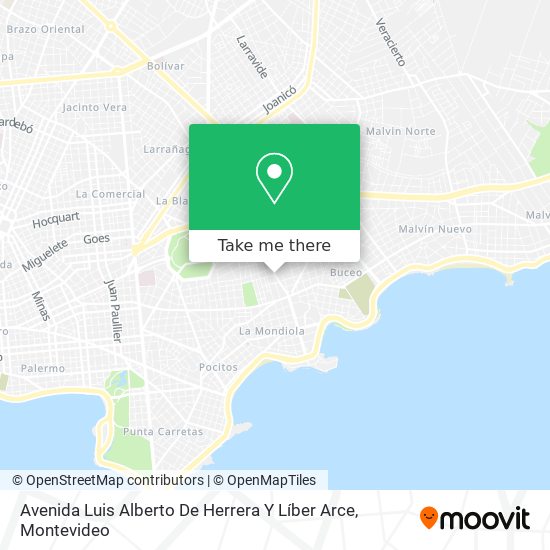 Avenida Luis Alberto De Herrera Y Líber Arce map