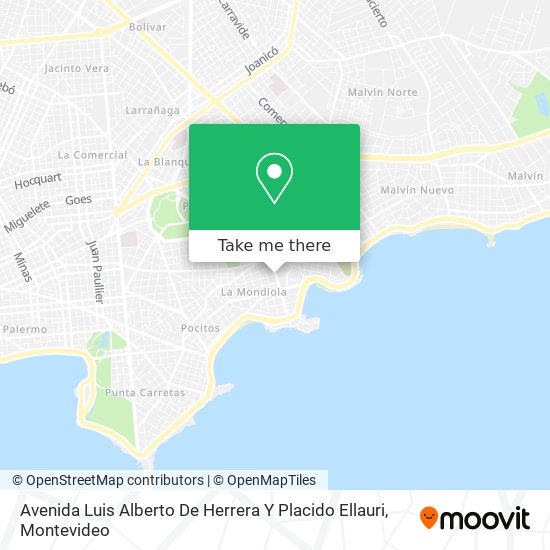 Avenida Luis Alberto De Herrera Y Placido Ellauri map