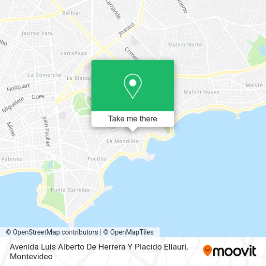Mapa de Avenida Luis Alberto De Herrera Y Placido Ellauri