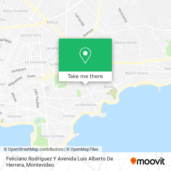 Feliciano Rodríguez Y Avenida Luis Alberto De Herrera map