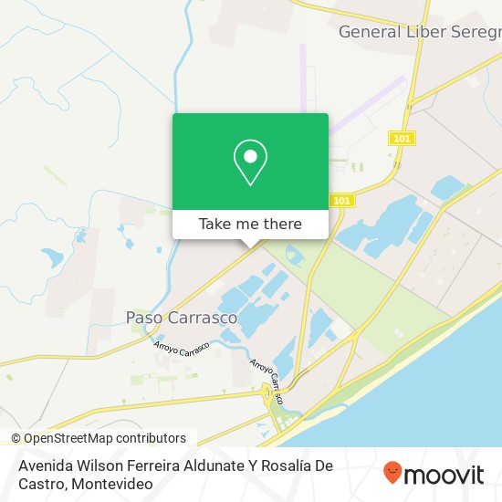 Avenida Wilson Ferreira Aldunate Y Rosalía De Castro map