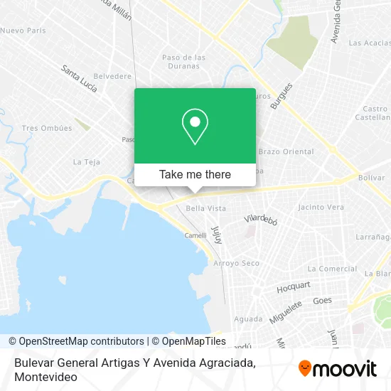 Mapa de Bulevar General Artigas Y Avenida Agraciada
