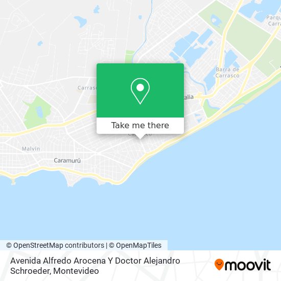 Avenida Alfredo Arocena Y Doctor Alejandro Schroeder map