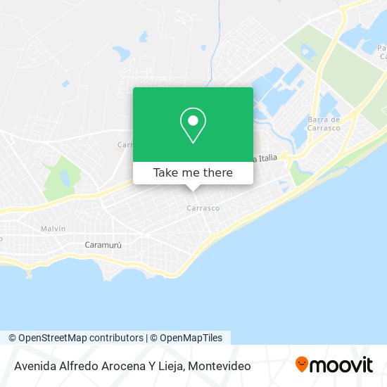 Avenida Alfredo Arocena Y Lieja map
