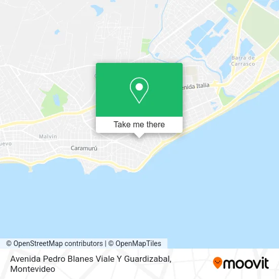 Mapa de Avenida Pedro Blanes Viale Y Guardizabal