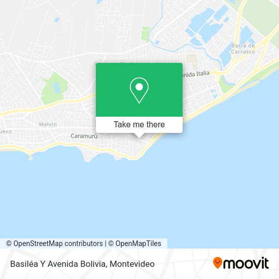 Mapa de Basiléa Y Avenida Bolivia