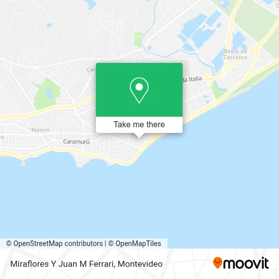 Miraflores Y Juan M Ferrari map