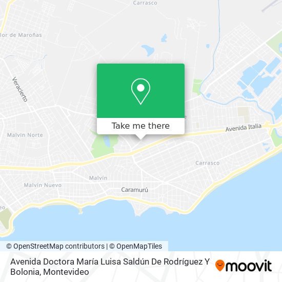 Avenida Doctora María Luisa Saldún De Rodríguez Y Bolonia map